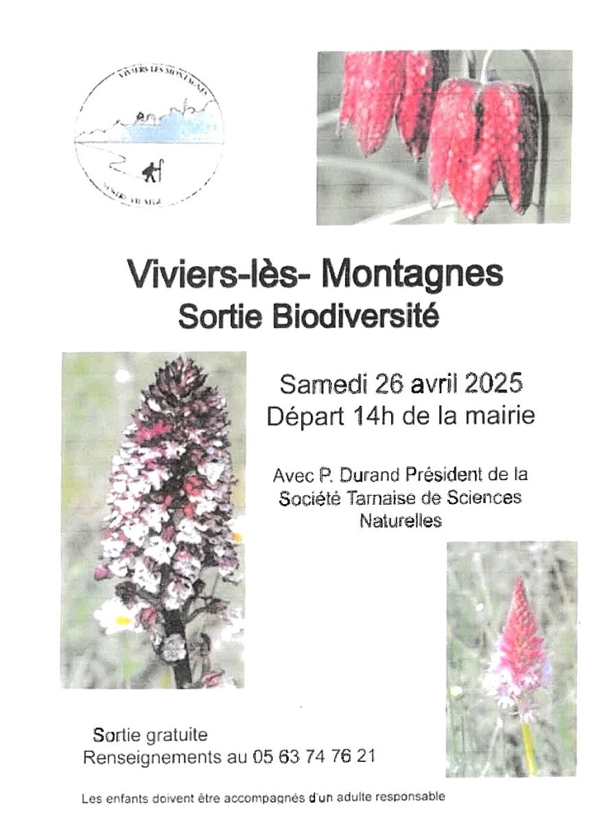 Sortie biodiversité