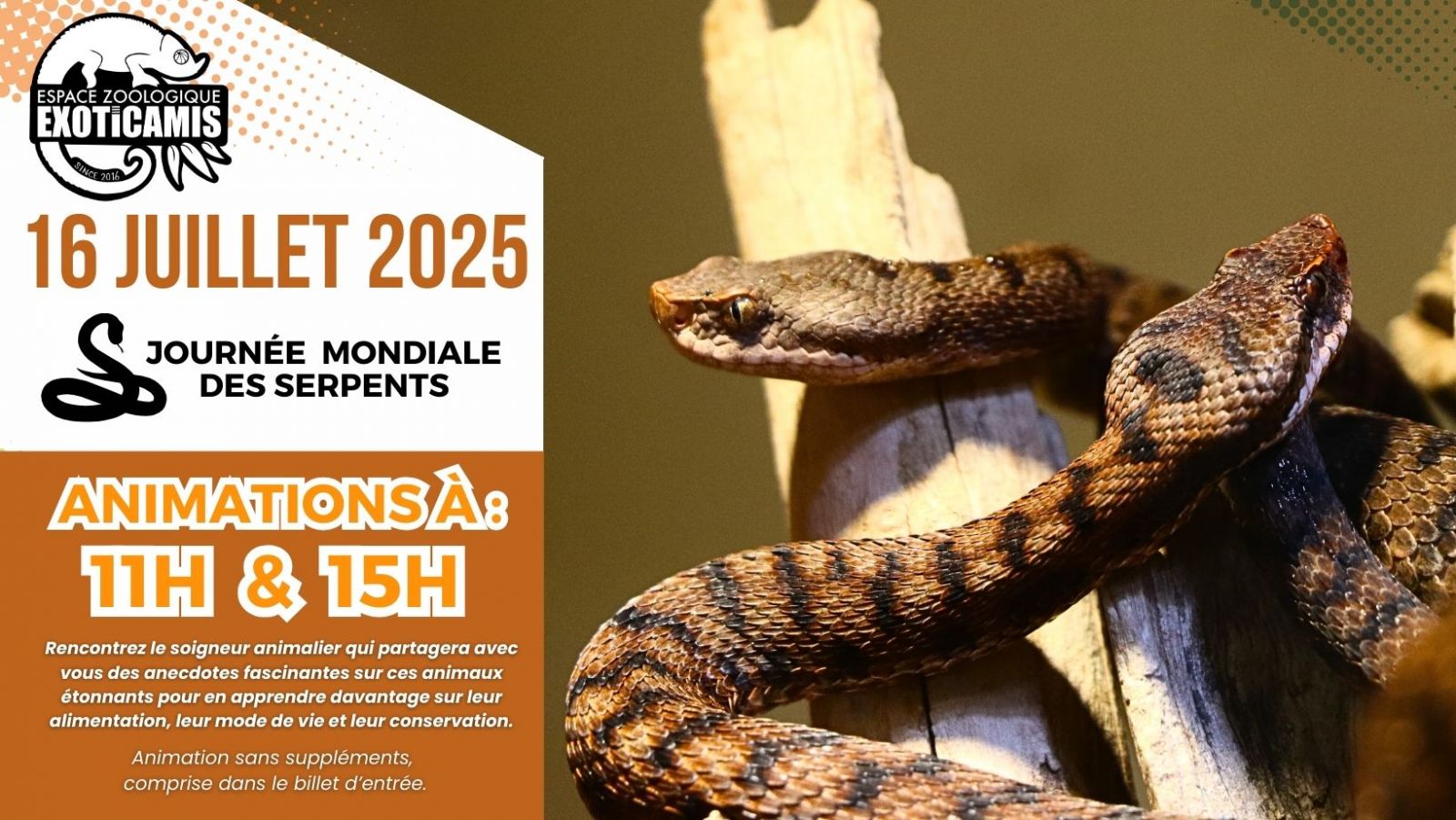 Animation : Journée Mondiale des Serpents
