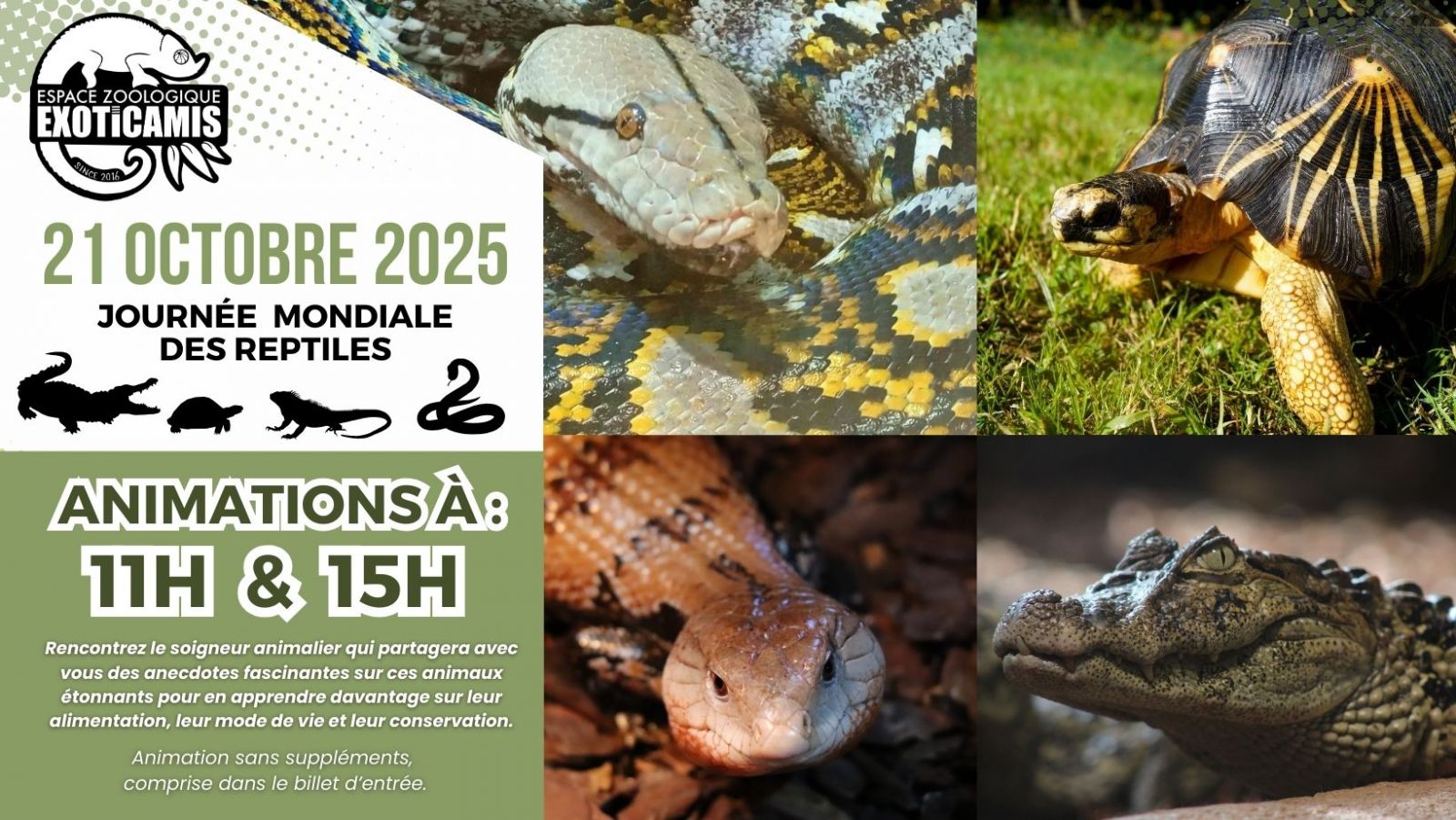 Animation : Journée Mondiale des Reptiles