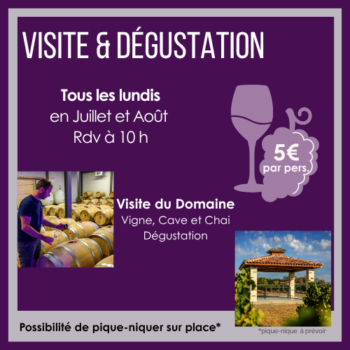 Explorez le terroir gaillacois avec le Domaine ...