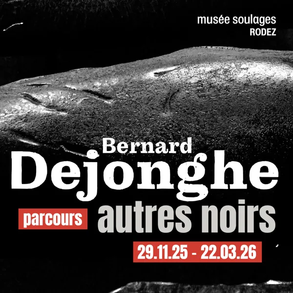 MUSÉE SOULAGES : PARCOURS "BERNARD DEJONGHE. A ...