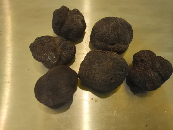 Marché de Noël et Fêt ... - Crédit: Maison de la truffe Comprégnac