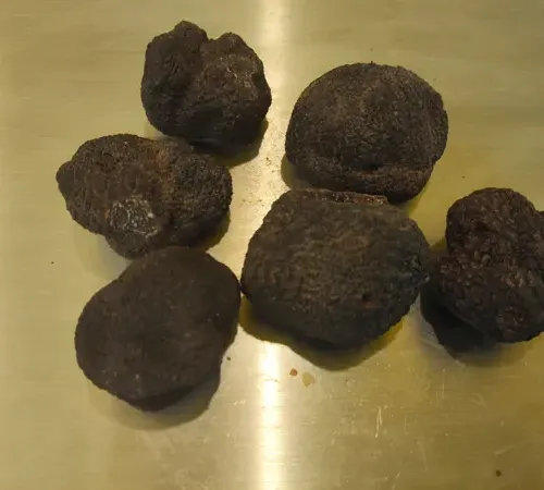 Marché de Noël et Fête de la Truffe