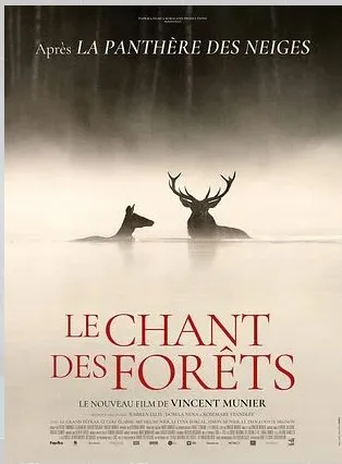 Cinéma : Le Chant des forêts