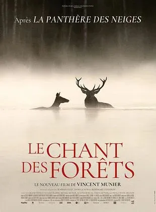 Cinéma : "Le chant des forêts"