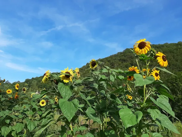 Assemblée Générale de l'association Graine de  ...
