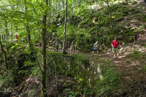 Sortie randonnée pédestre douce "Trionac-Campchés"