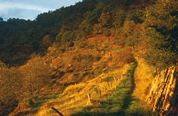 Sortie randonnée pédestre : Lacroix-Barrez - D ...