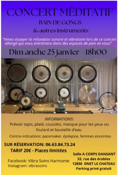 Concert méditatif : Bain de gongs & autres ins ...