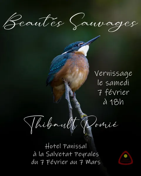 Exposition - Thibault Pomié