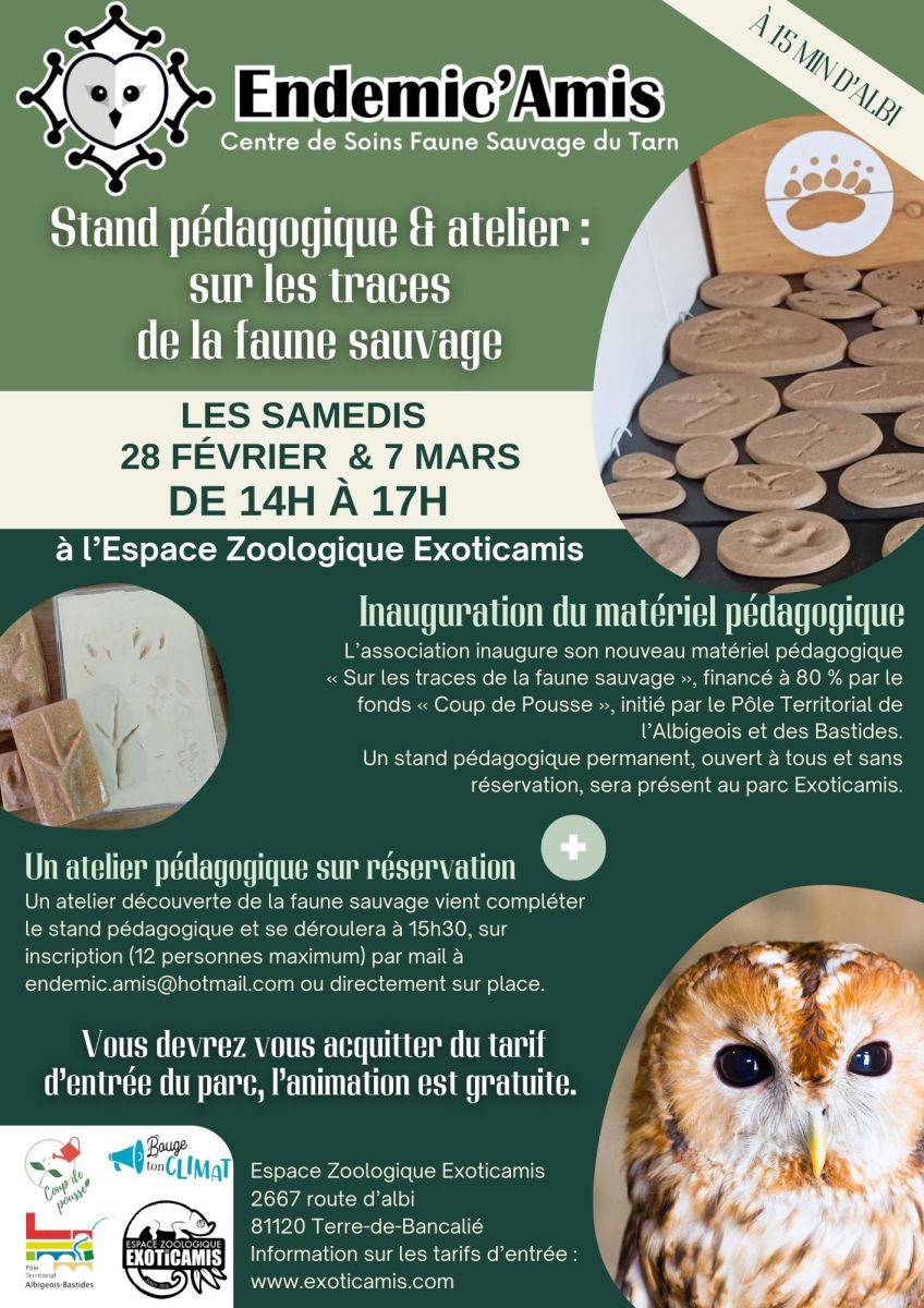 Sur les traces de la faune sauvage à Exoticami ...