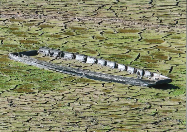 Exposition “Explosion de couleurs et les desso ...