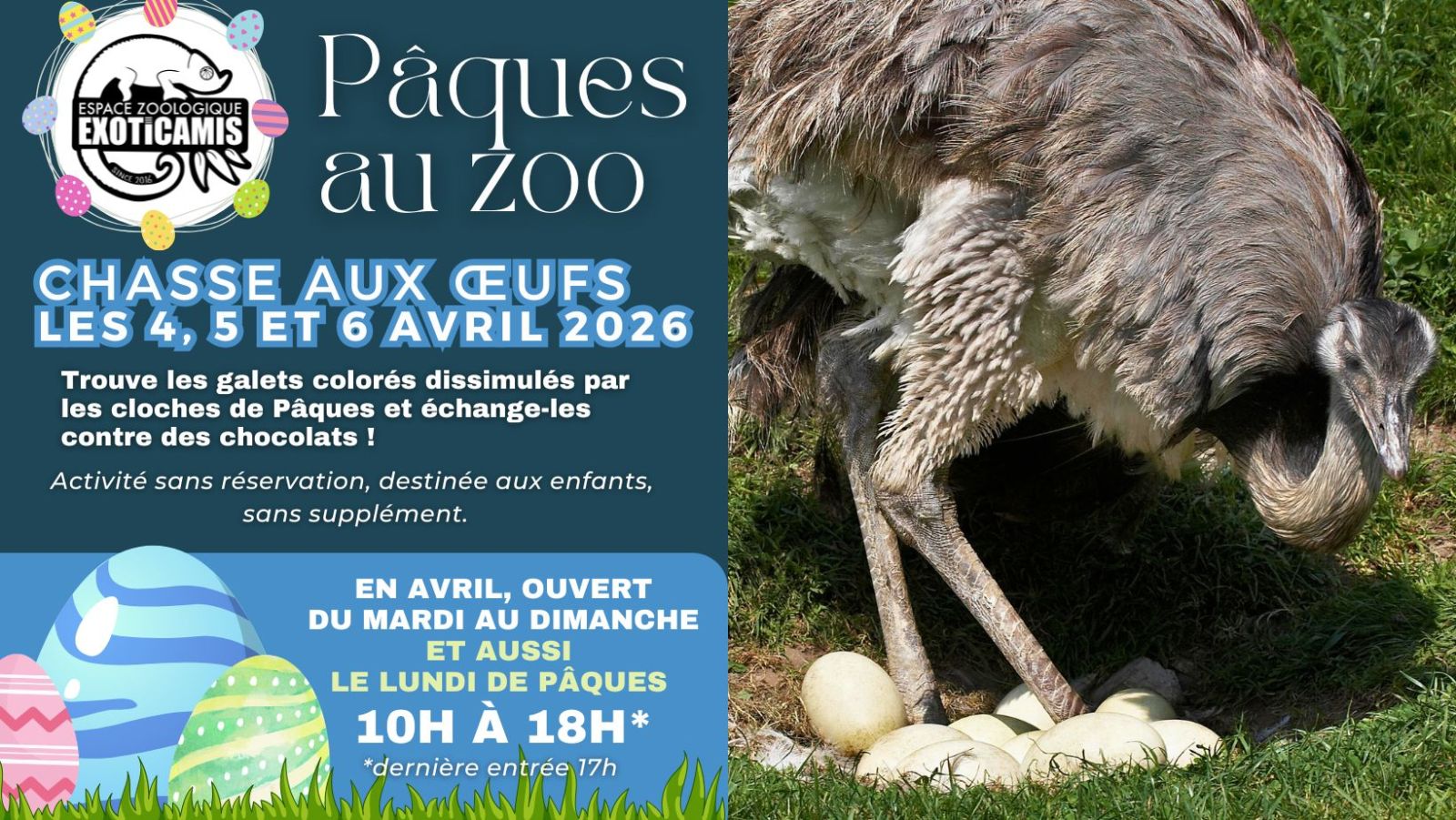 Chasse aux oeufs à EXOTICAMIS
