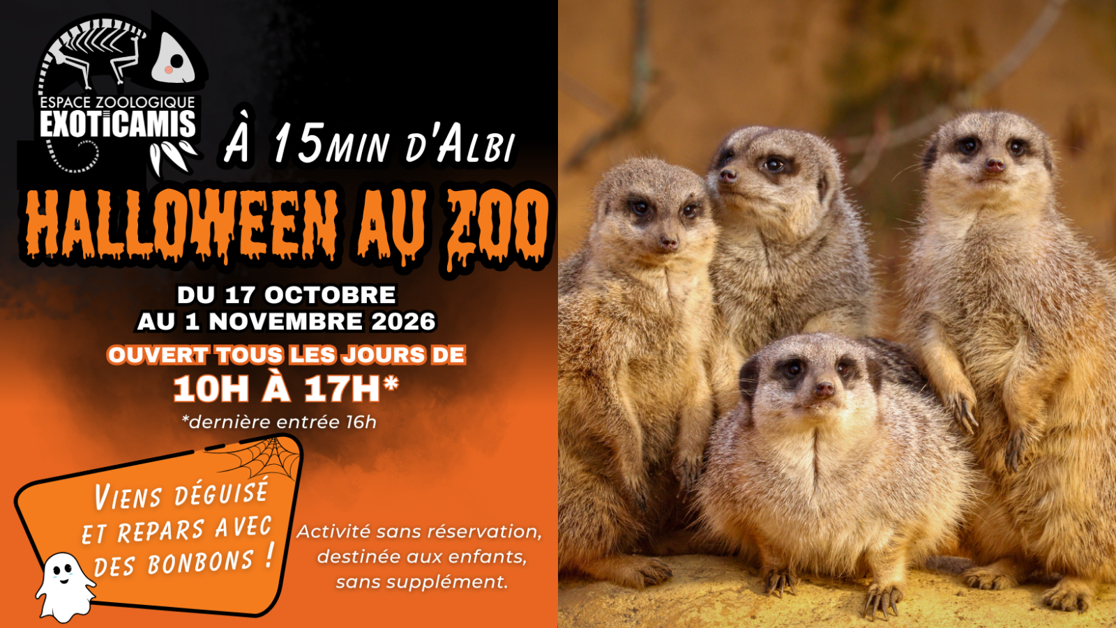 Halloween à Exoticamis