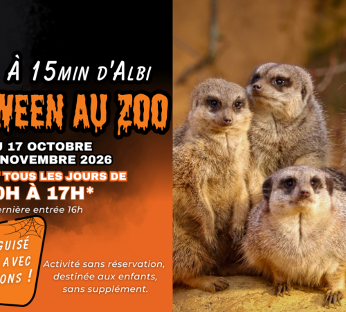 Halloween à Exoticamis