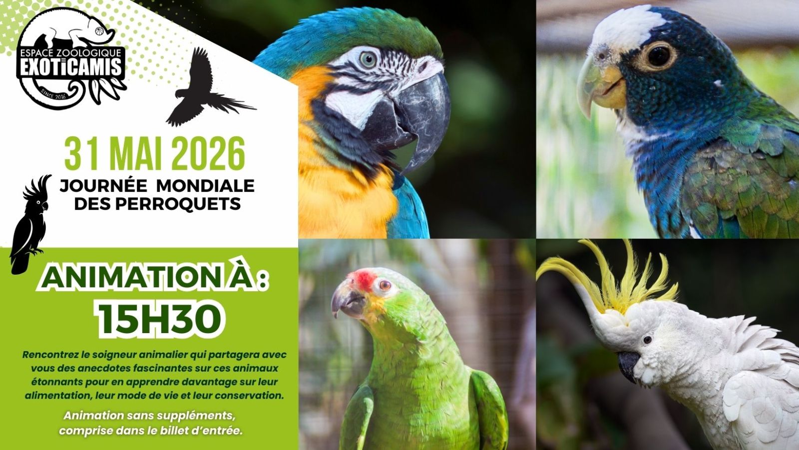31 Mai 2026 - Journée mondiale des perroquets