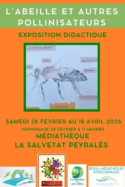 Exposition "l’abeille et autres pollinisateurs"