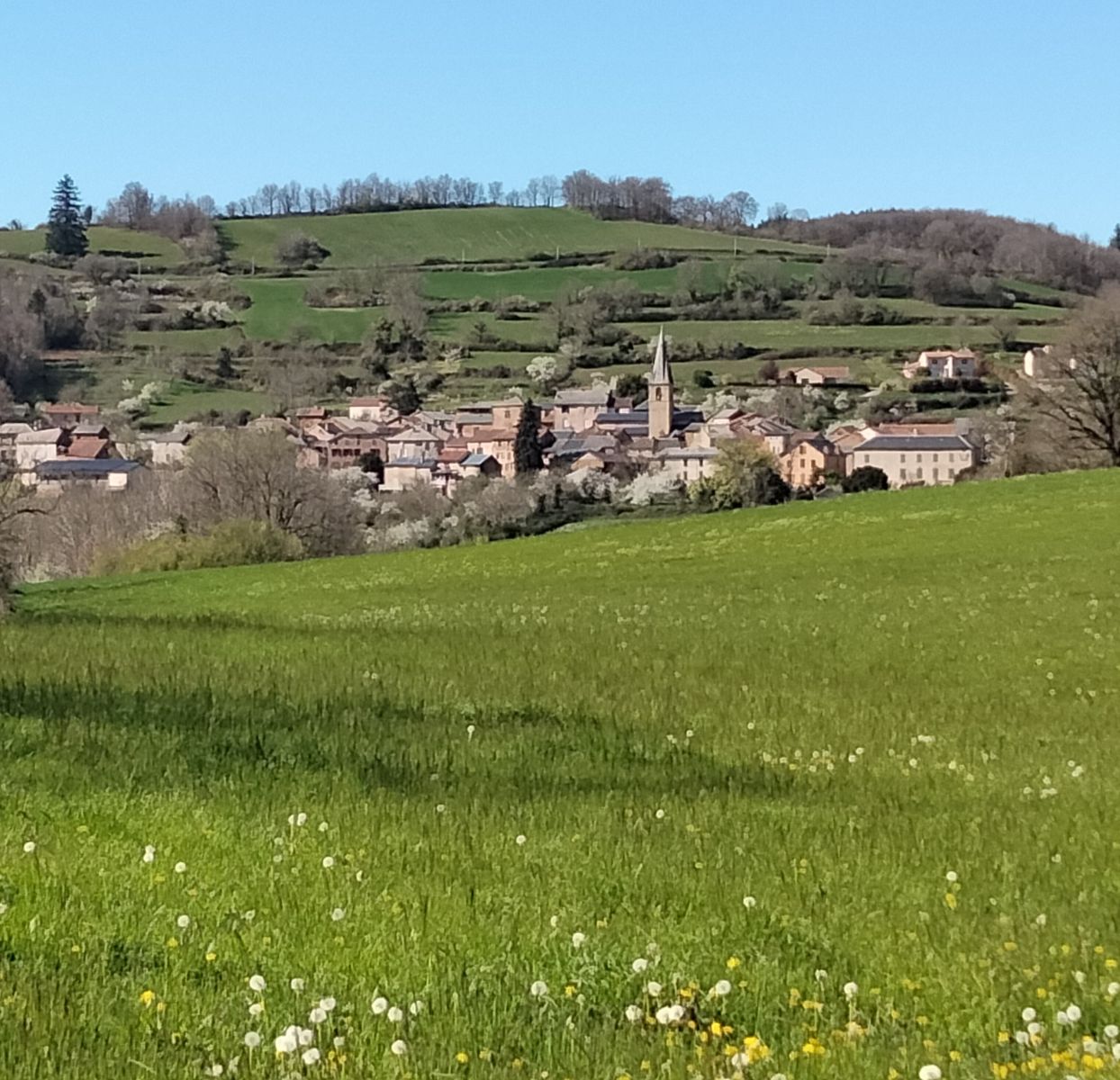 Vide-grenier, vide garages, expositions photos ...