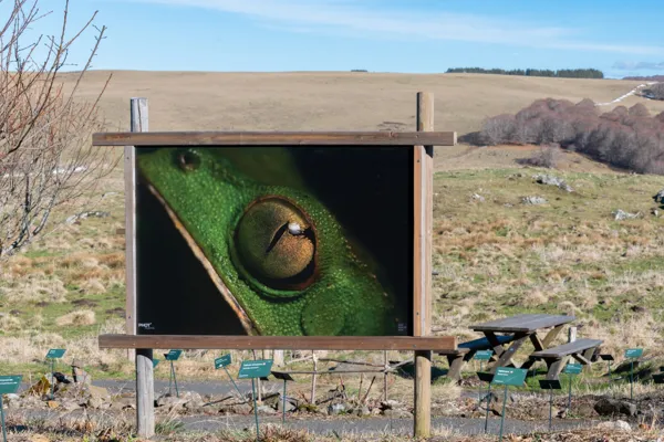 Exposition photos annuelle - Joao Marcos Rosa