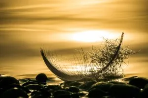 Exposition photos : D'ombres et de lumières de ...