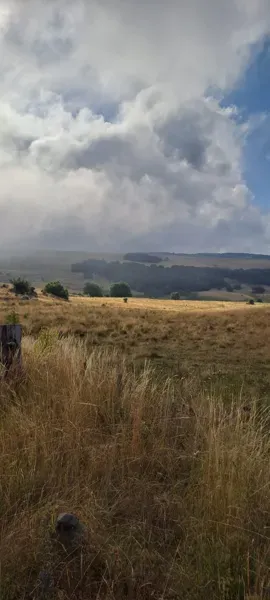 Fête de la science "D ... - Crédit: maison de l aubrac