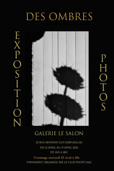 Exposition " des ombres " - Galerie le Salon