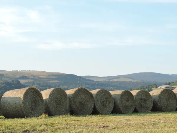 Rencontre : "le réchauffement climatique : que ...