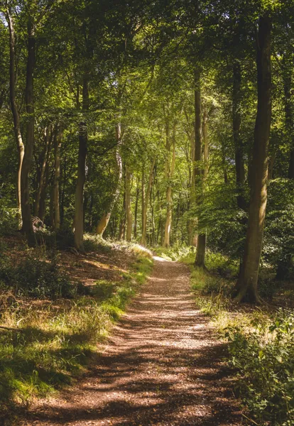 Rencontre : "Réchauffement climatique : commen ...