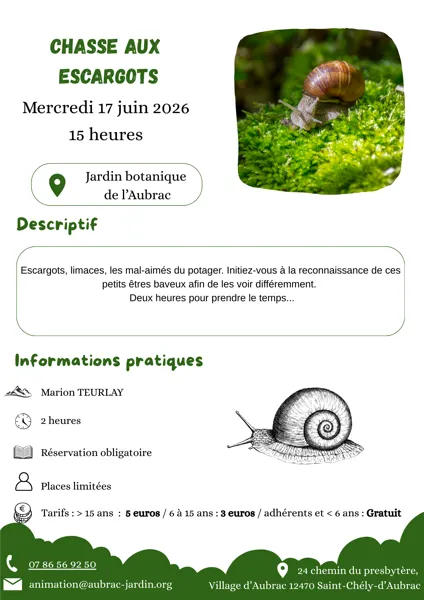 Spécial enfant "chasse aux escargots"