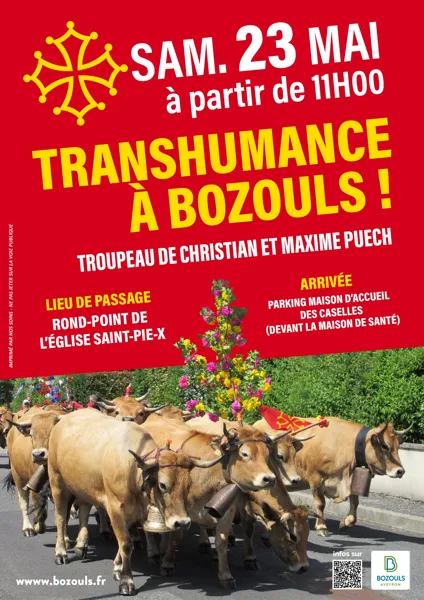 Transhumance 2026 : Passage d'un troupeau à Bo ...