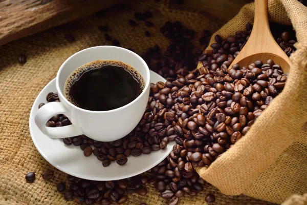 Atelier de Dégustation de Café
