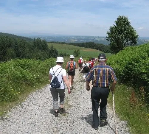 Randonnée pédestre accompagnée