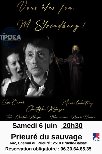 Theatre : Vous êtes fou M. Strindberg