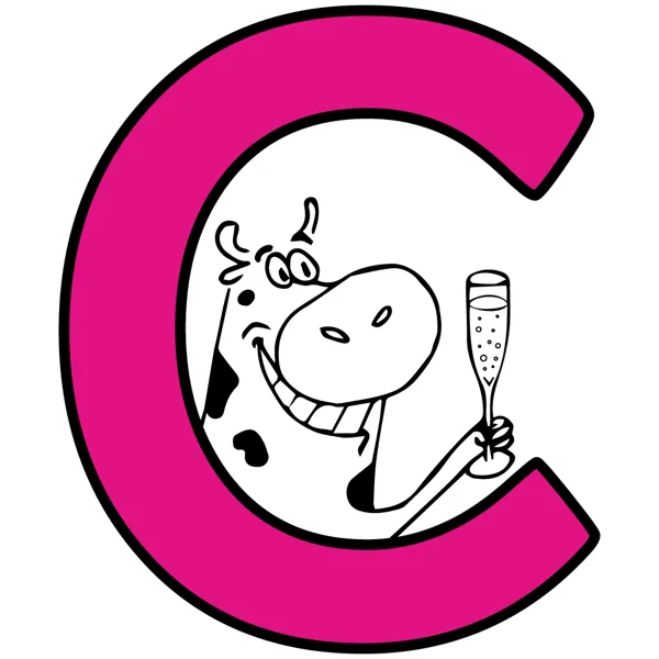 Fête du Village cinéma