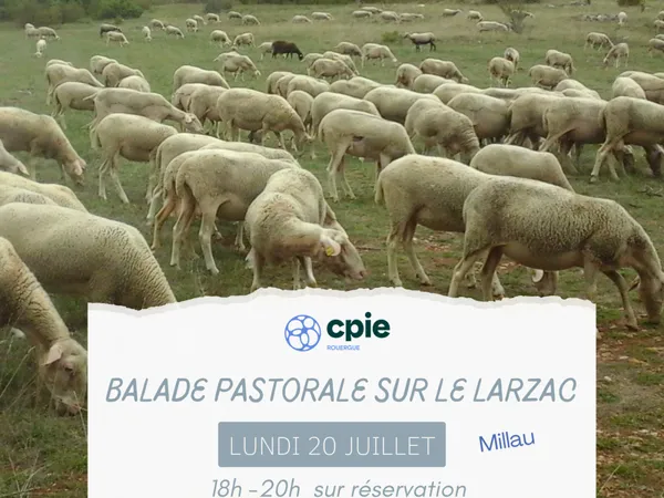 Nouveauté 2026 - " Balade pastorale sur le Lar ...