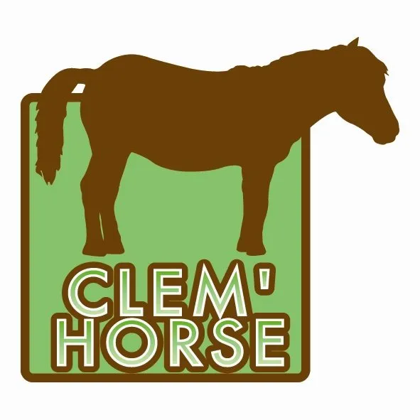 Balade à poney en main avec Clem'Horse