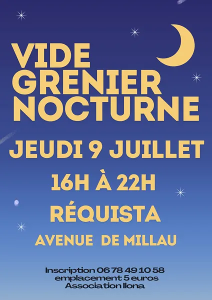 Vide grenier nocture à Réquista