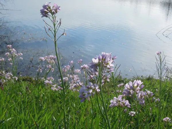 Randonnées découverte du site Naturel 2000 éta ...