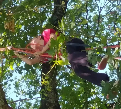 Séance découverte de grimpe d'arbres avec Symbiose