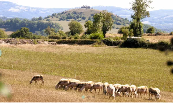Randonnée avec les Caminaires de l'Olt al Dour ...