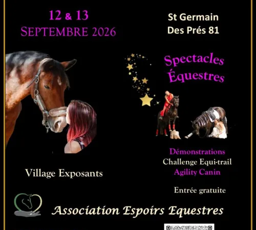 SALON BIEN-ÊTRE EQUIN & HUMAIN