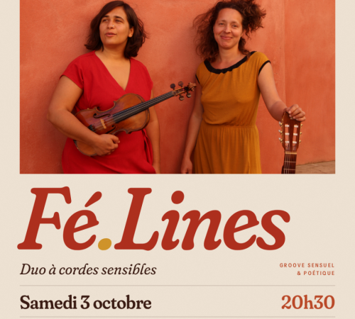 Duo à cordes sensibles