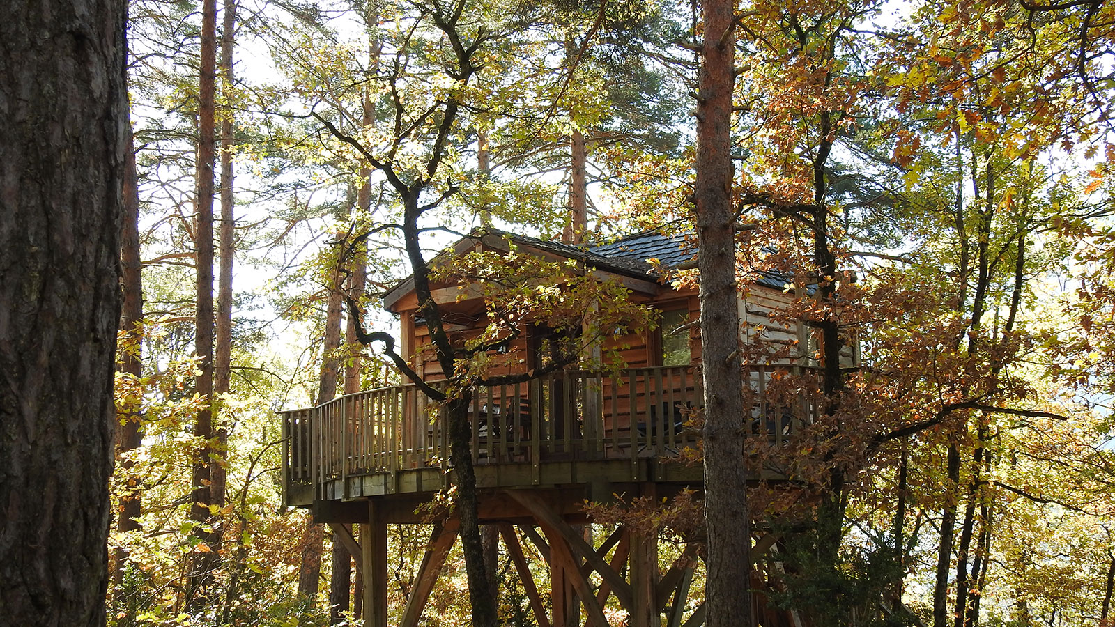 La Cachette Locations Insolites (Chalets, Voiliers, Cabanes perchées