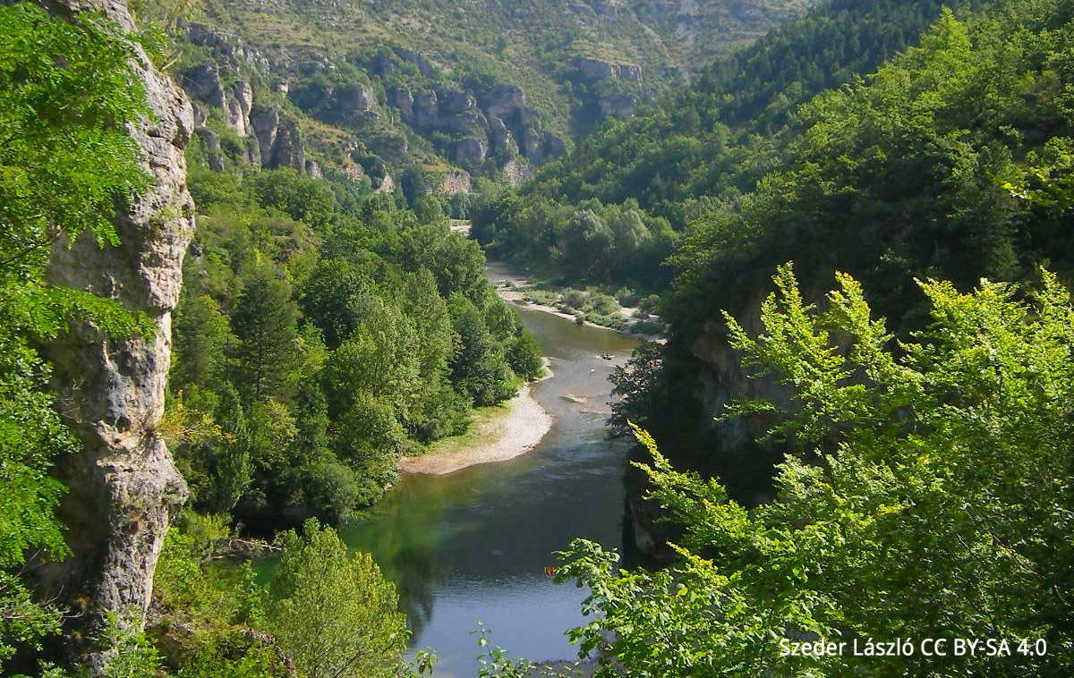 Gorges du Tarn