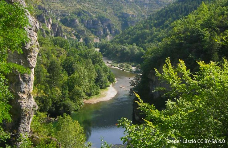 Gorges du Tarn