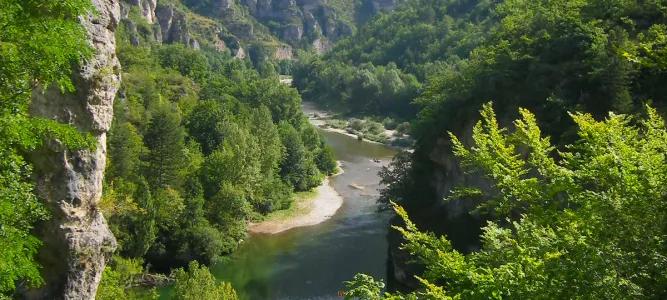 Gorges du Tarn