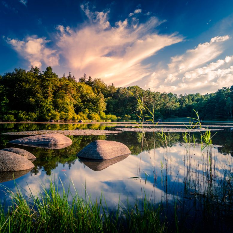 Blackbird Lake