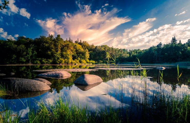 Blackbird Lake