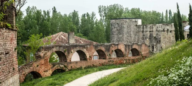 Nègrepelisse