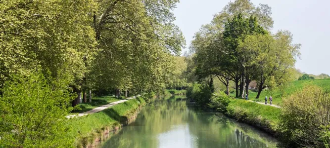 Valence